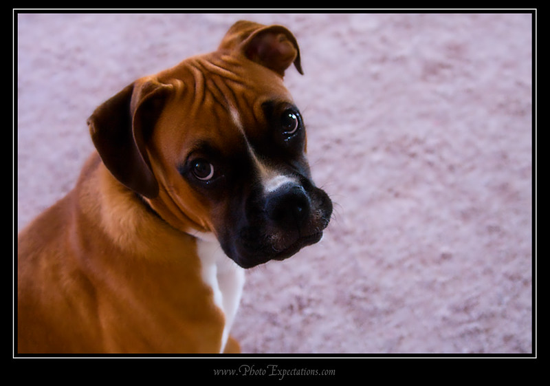 IMAGE: http://fad2blk.smugmug.com/photos/486543202_nqKTW-L.jpg