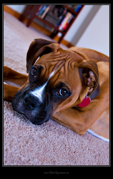 IMAGE: http://fad2blk.smugmug.com/photos/486543234_pKfa2-L.jpg